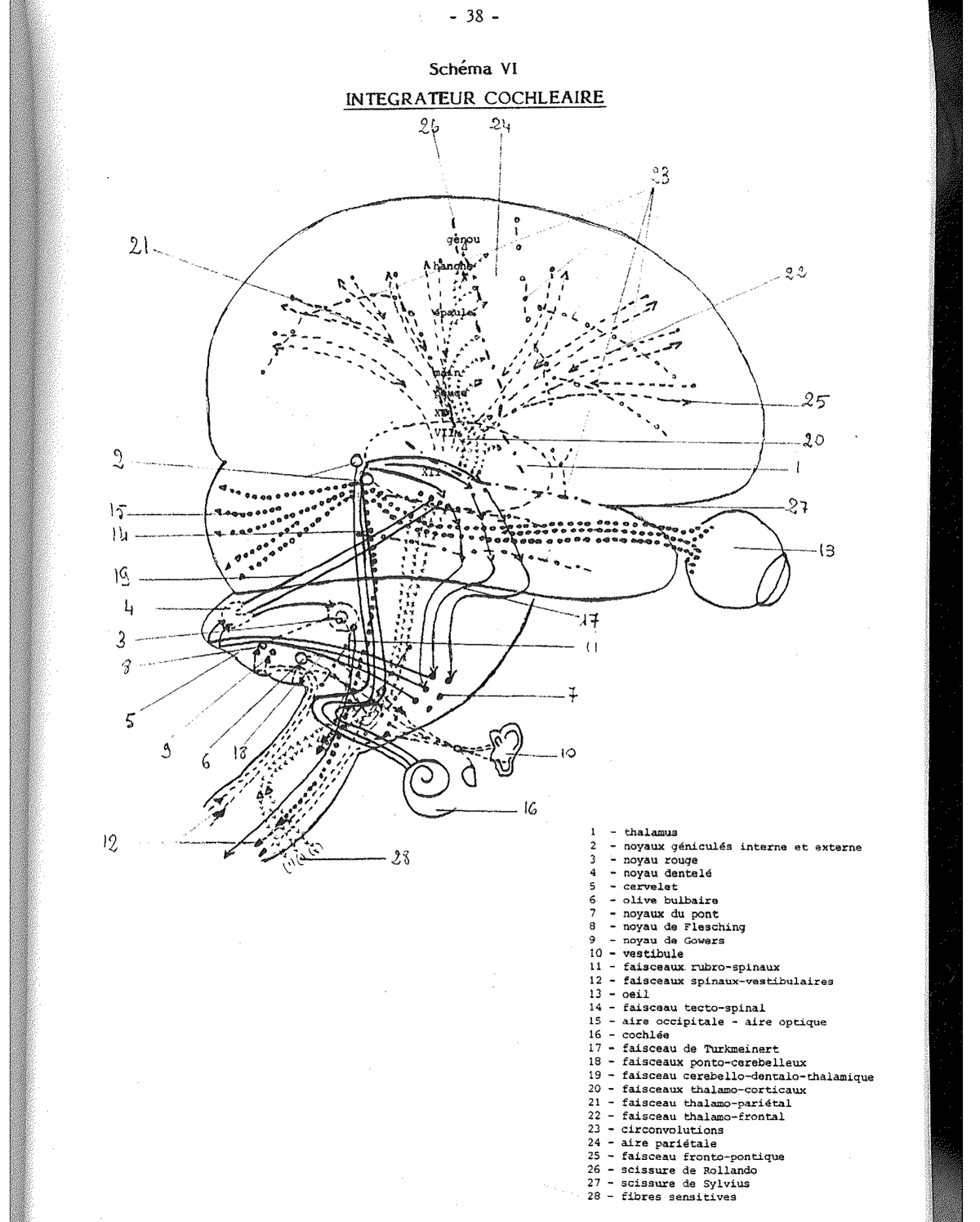 Schéma XI — Évolution du dessin de la maison